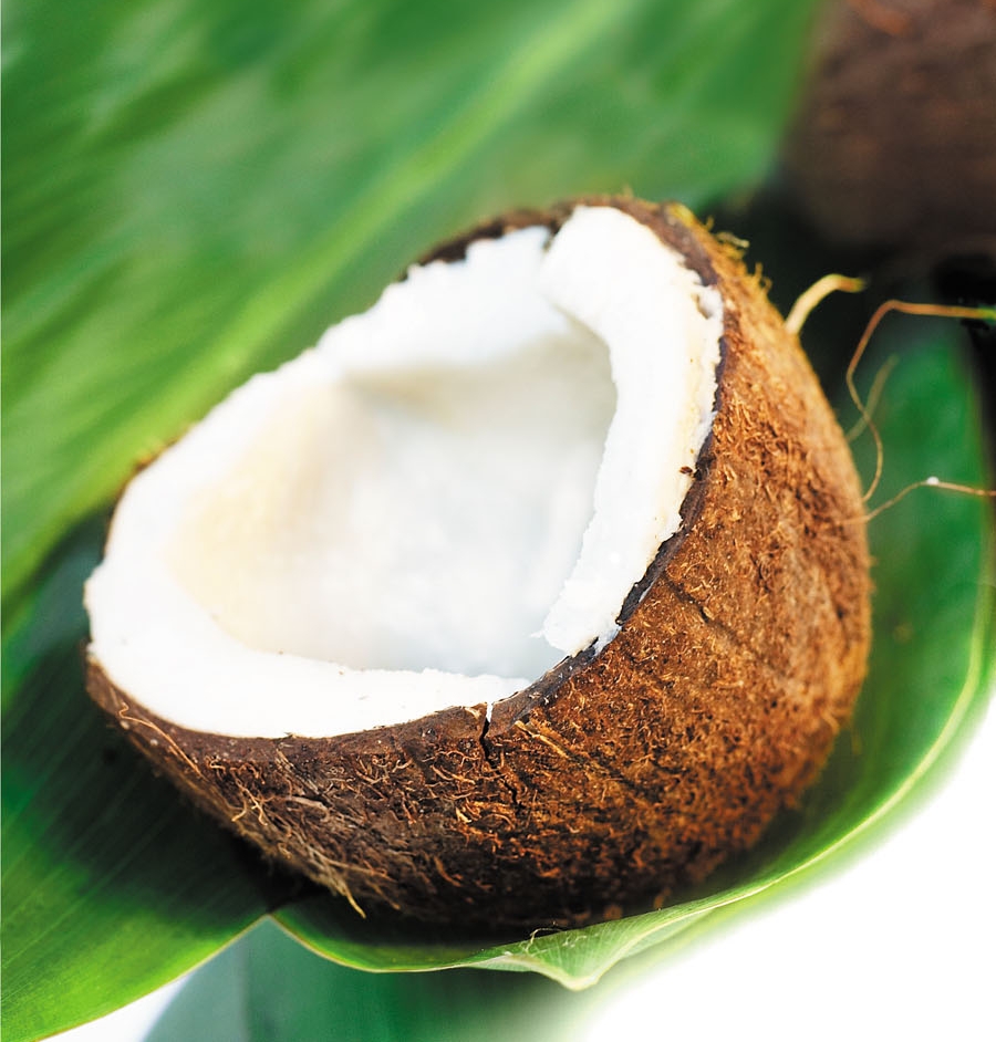 Avatar von coconut
